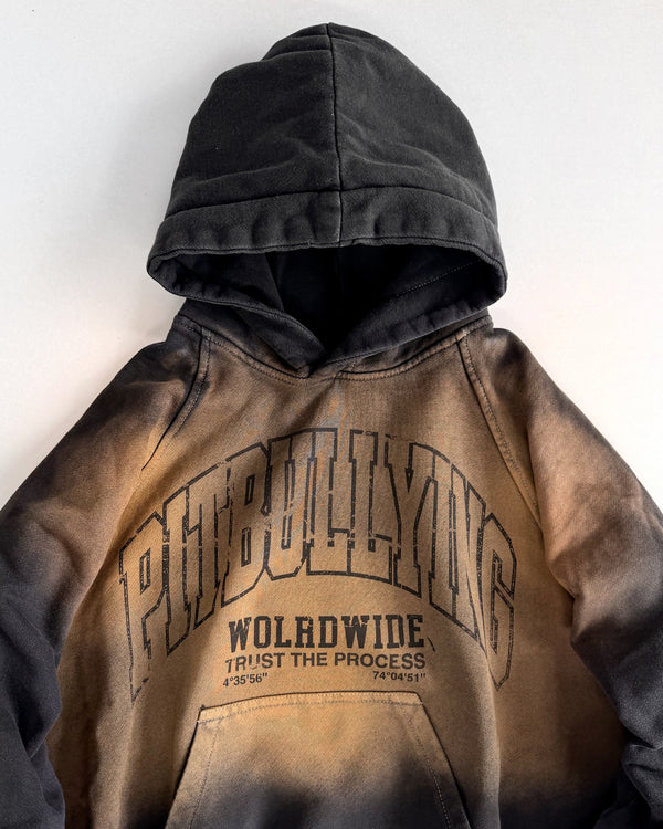 HOODIE OXIDO PITBULLYING