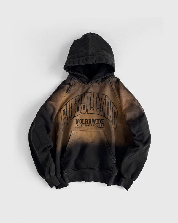 HOODIE OXIDO PITBULLYING