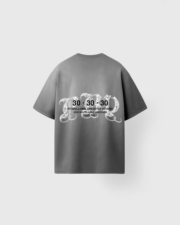 Camiseta Básica Gris 30:30