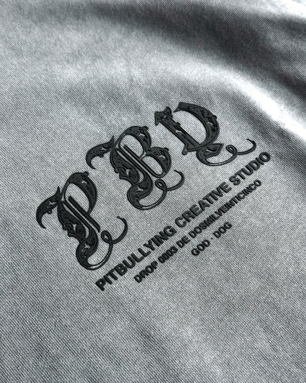 Camiseta Básica Gris 30:30