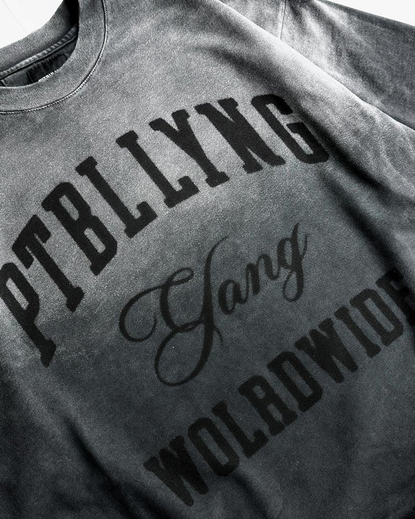 Camiseta Premium bitono Pitbullying