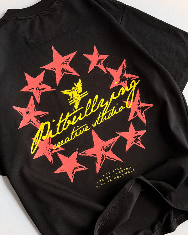 Camiseta Pitbullying Angel Estrellas