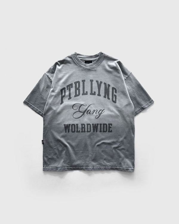 Camiseta Premium gris Pitbullying