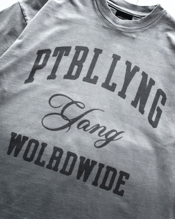 Camiseta Premium gris Pitbullying