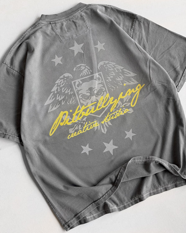 Camiseta Oversize Gris Pitbullying