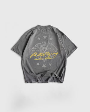 Camiseta Oversize Gris Pitbullying