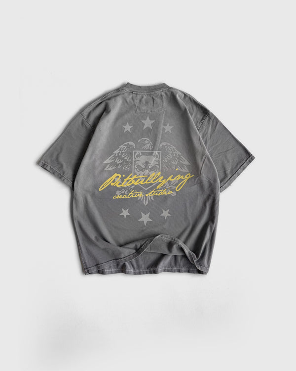 Camiseta Oversize Gris Pitbullying