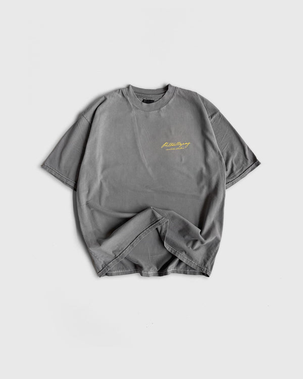 Camiseta Oversize Gris Pitbullying
