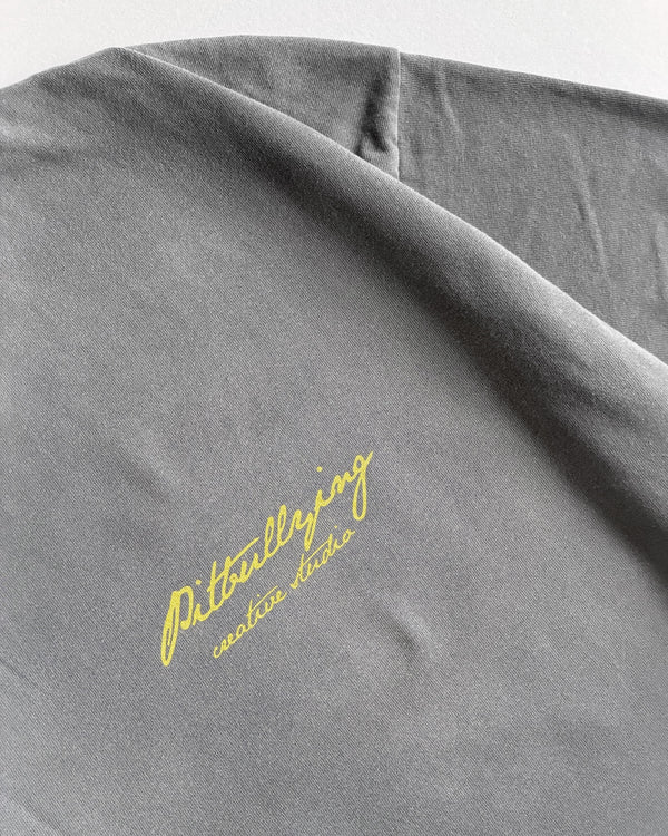 Camiseta Oversize Gris Pitbullying