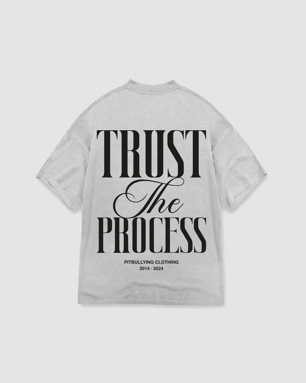 Camiseta Trust the process Gris Pitbullying