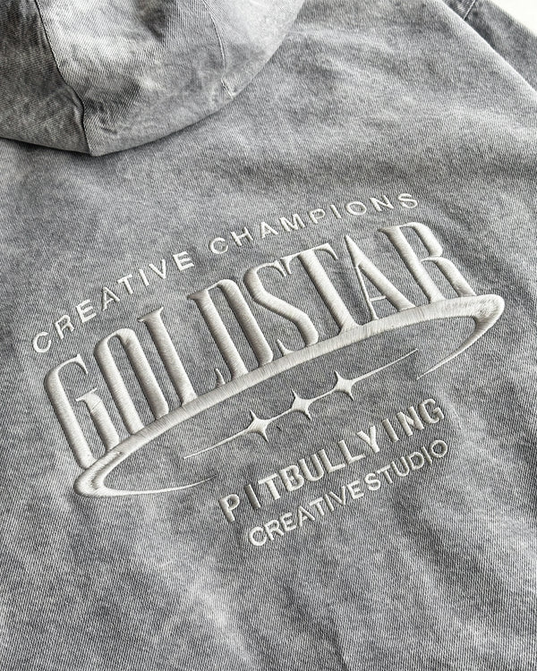 Chaqueta de jean gris GoldStar Pitbullying