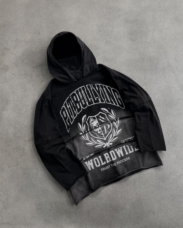 HOODIE LAYERS MASK PITBULLYING