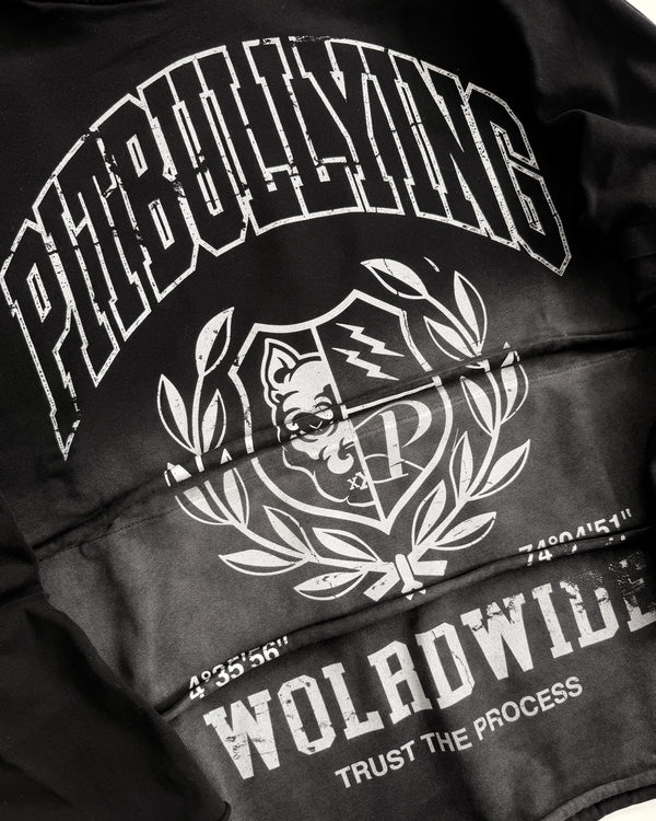 HOODIE LAYERS MASK PITBULLYING