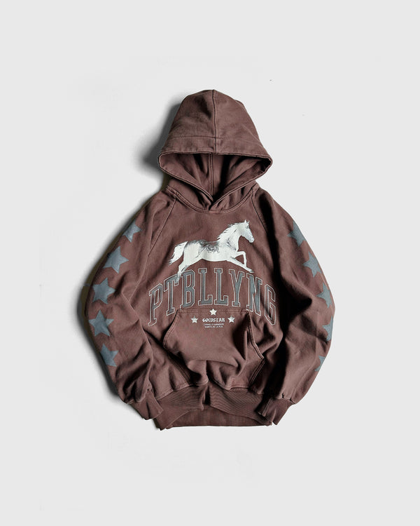 HOODIE / CABALLO GANADOR (WASHED MUD)
