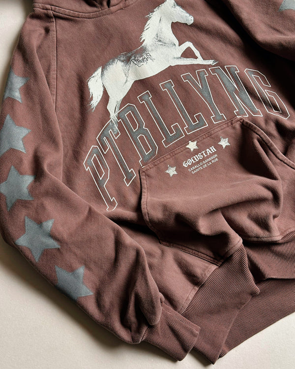 Hoodie Pitbullying Marron Caballo