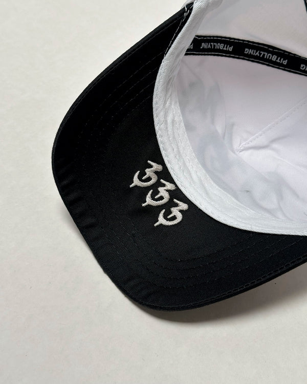 Gorra 3B3 Pitbullying