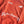 Pitbullying Flame Hoodie Rojo