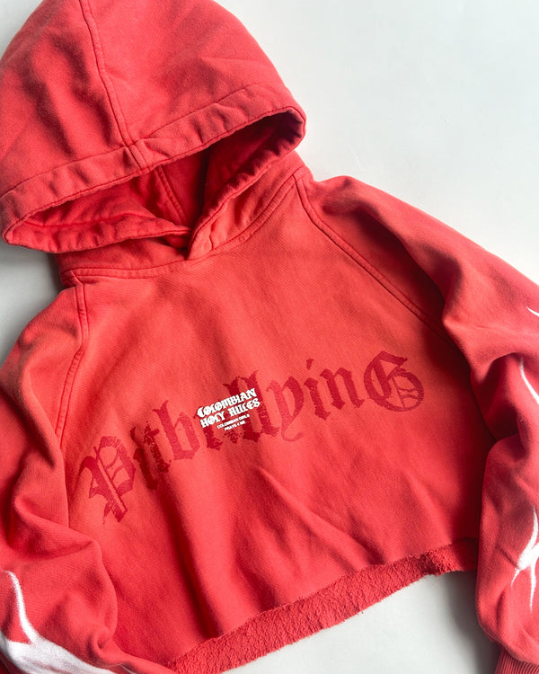 Hoodie crop Rojo