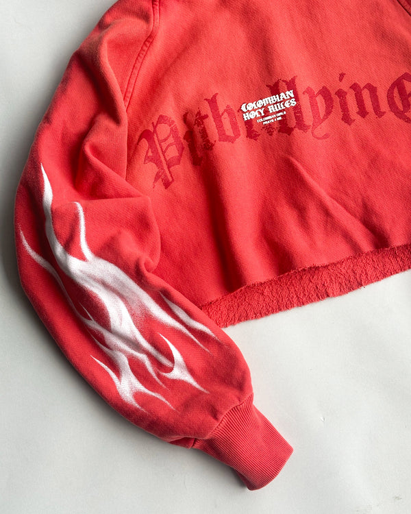 Hoodie crop Rojo