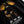 Hoodie Virgen 30:30