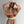 Hoodie_Star_GangBrownMujer