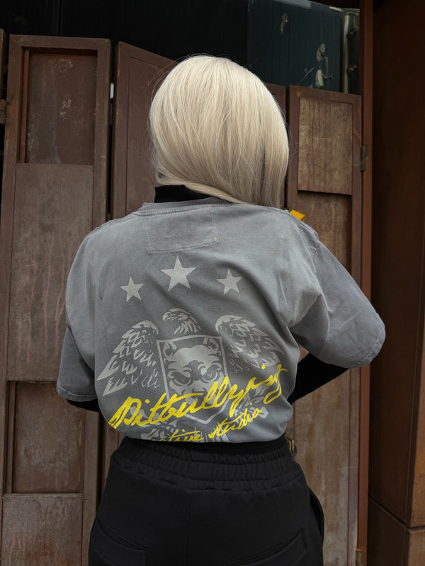 Camiseta Oversize Gris Pitbullying