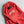Pant Rojo