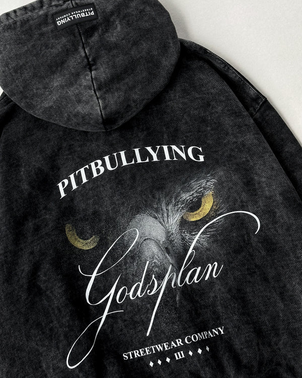 GODSPLAN ZIP-UP HOODIE GRAY VINTAGE